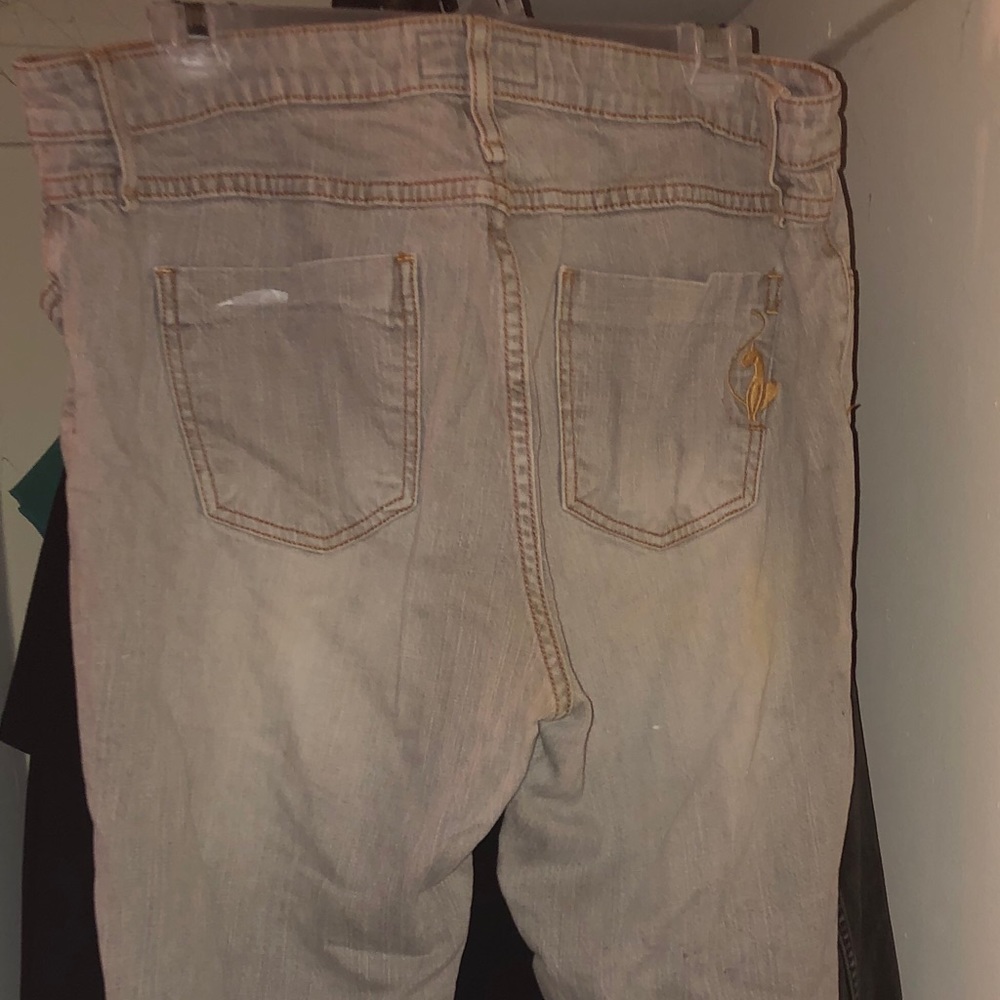 Baby Phat Jeans